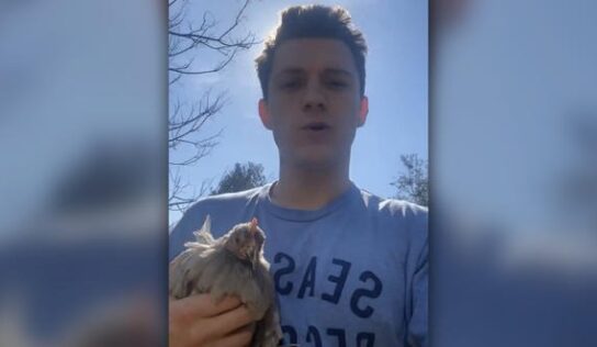 VIDEO: Tom Holland no encuentra huevos en tiendas y se compra una gallina