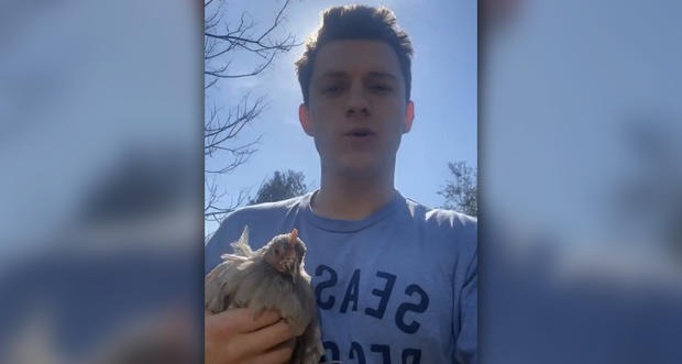 VIDEO: Tom Holland no encuentra huevos en tiendas y se compra una gallina